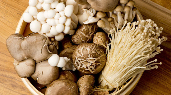 vegan mushroom recipes - Mushroom Revival