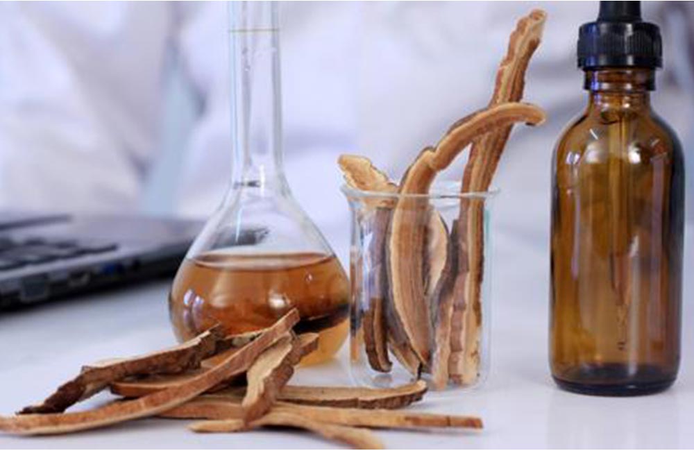 Double Extraction Mushroom Tincture