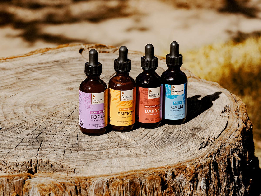Herbal Supplements for Energy Support During the Winter*