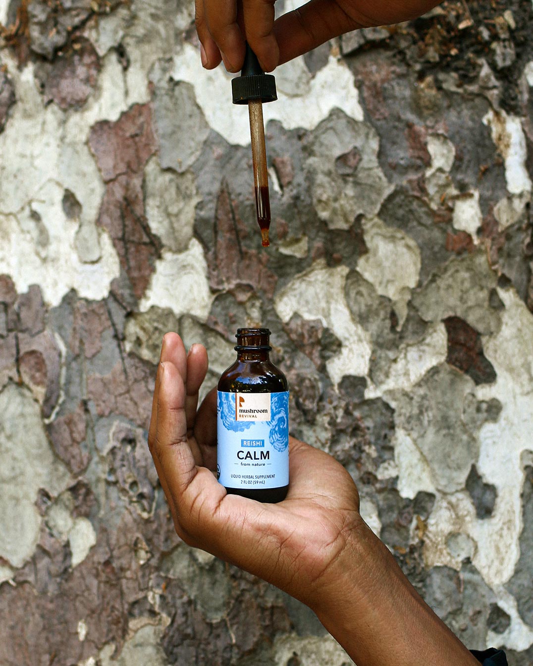 mushroom-medicinal-uses
