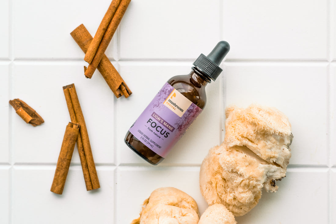 How To Make Mushroom Tincture - Mushroom Revival