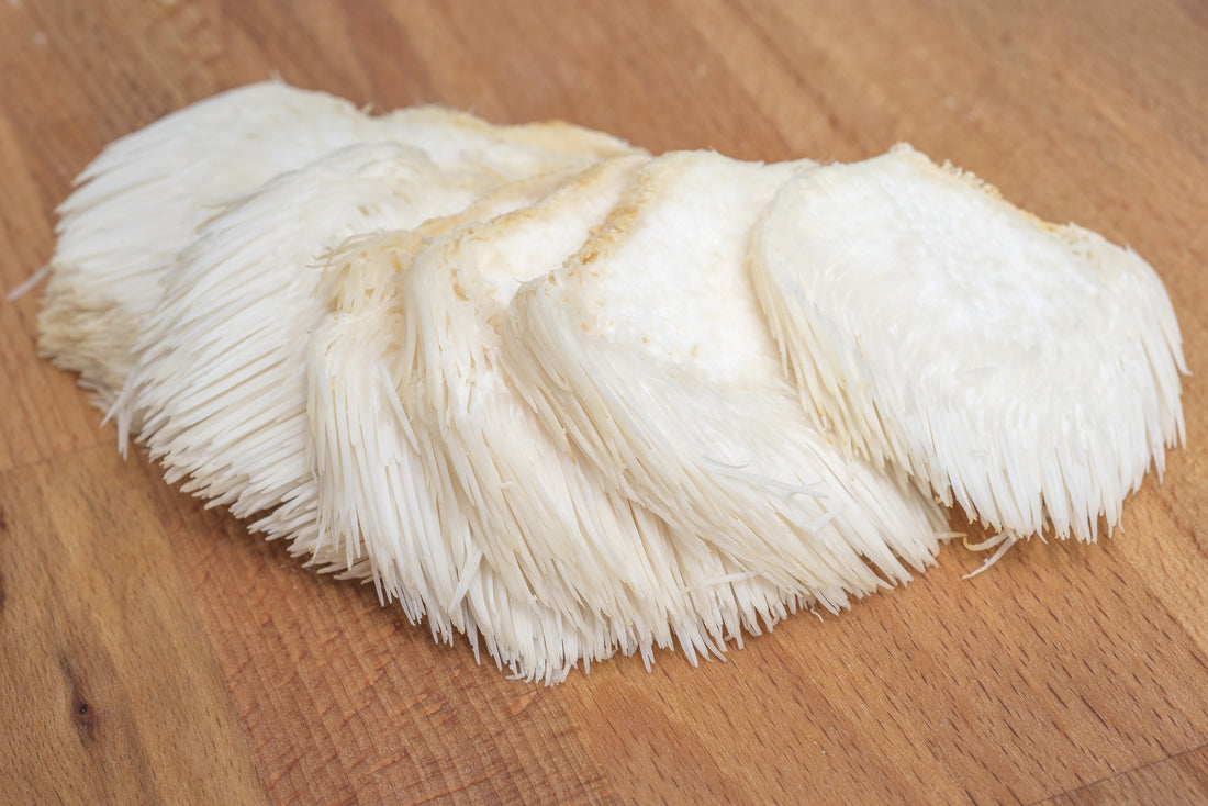 Lion’s Mane Mushroom Taste - Mushroom Revival - Main