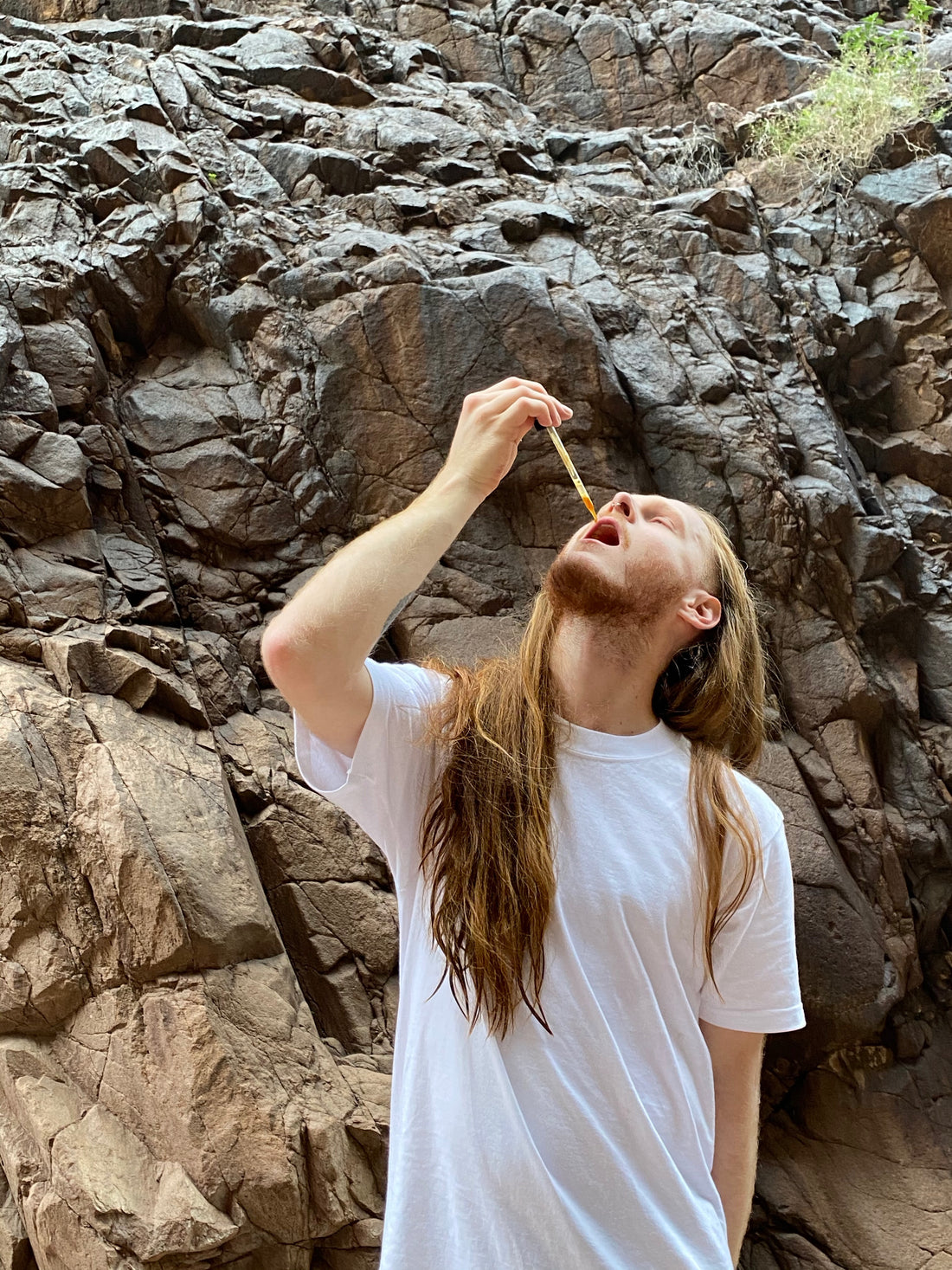 Mushroom Benefits For Men - Mushroom Revival