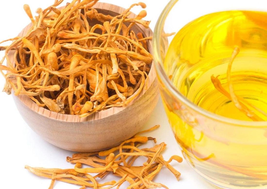 Cordyceps-Tea