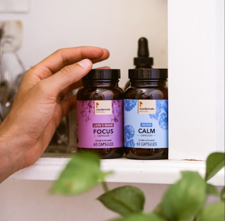 Exciting Updates at Mushroom Revival