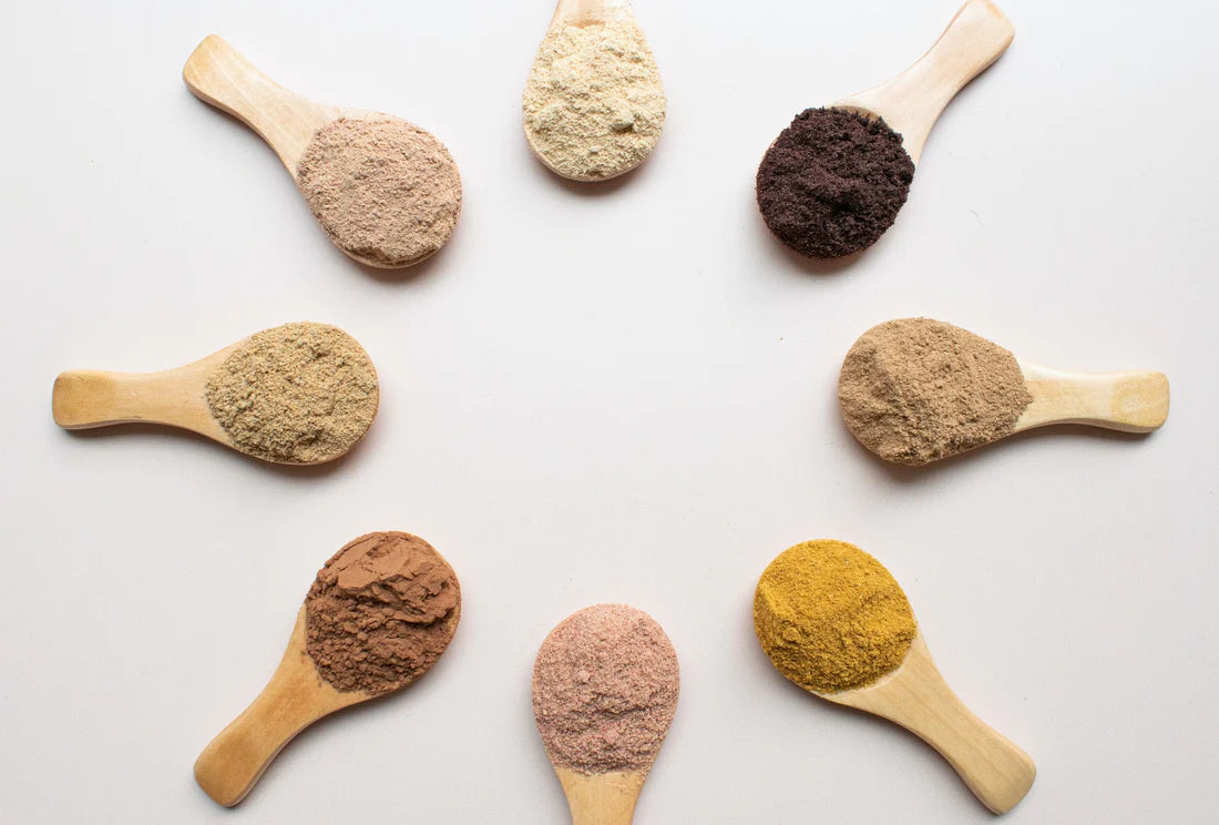 Mushroom Blend Powder - Mushroom Revival