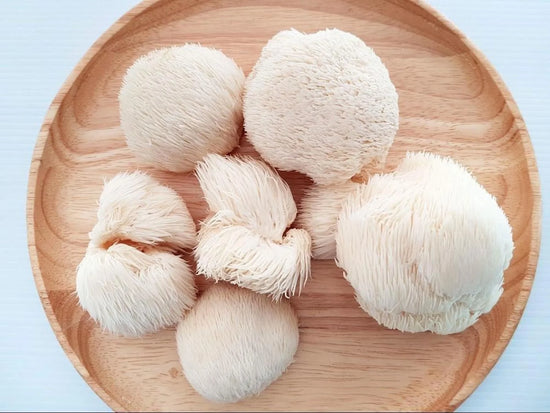 7 Nootropic Mushrooms: The Ultimate Guide