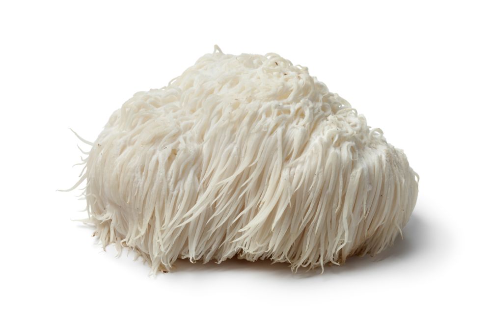 Where to buy Lion's Mane - "Nature's Nutrients for the Neurons"