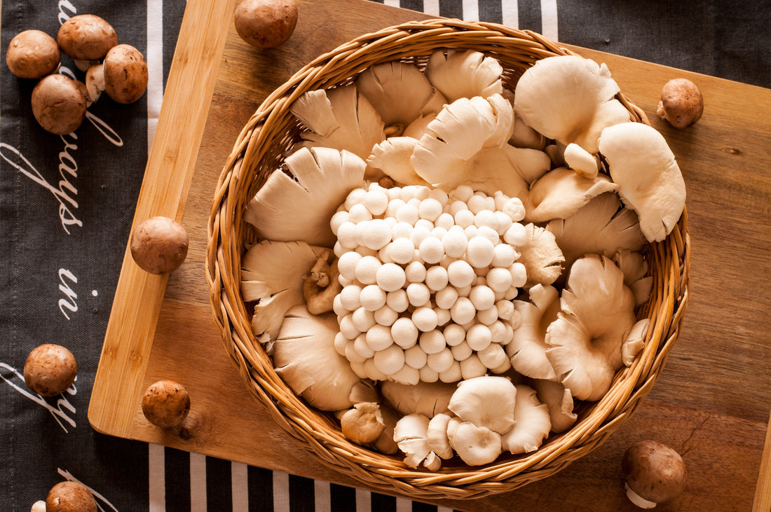 mushrooms-for-weightloss