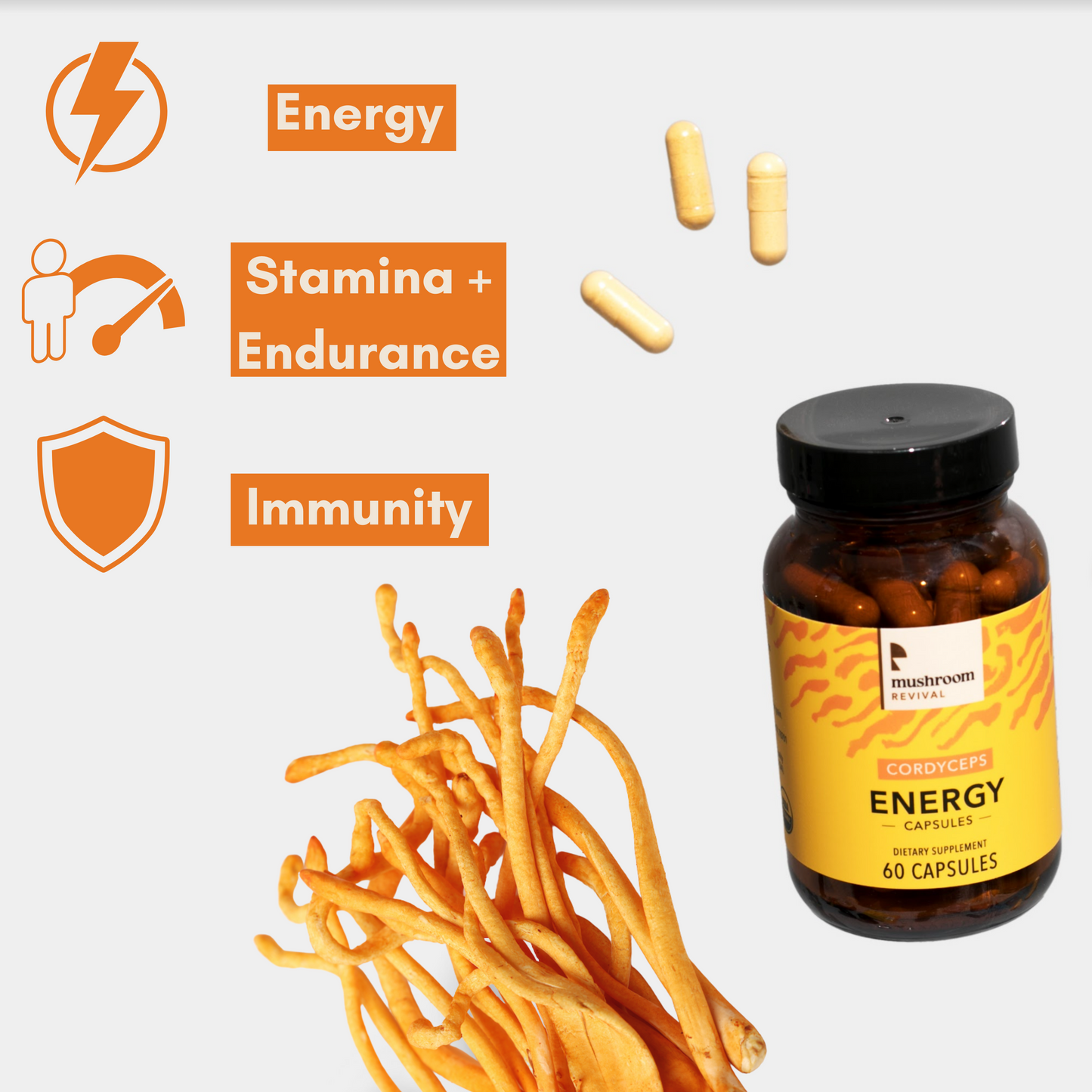 Energy Cordyceps Capsules