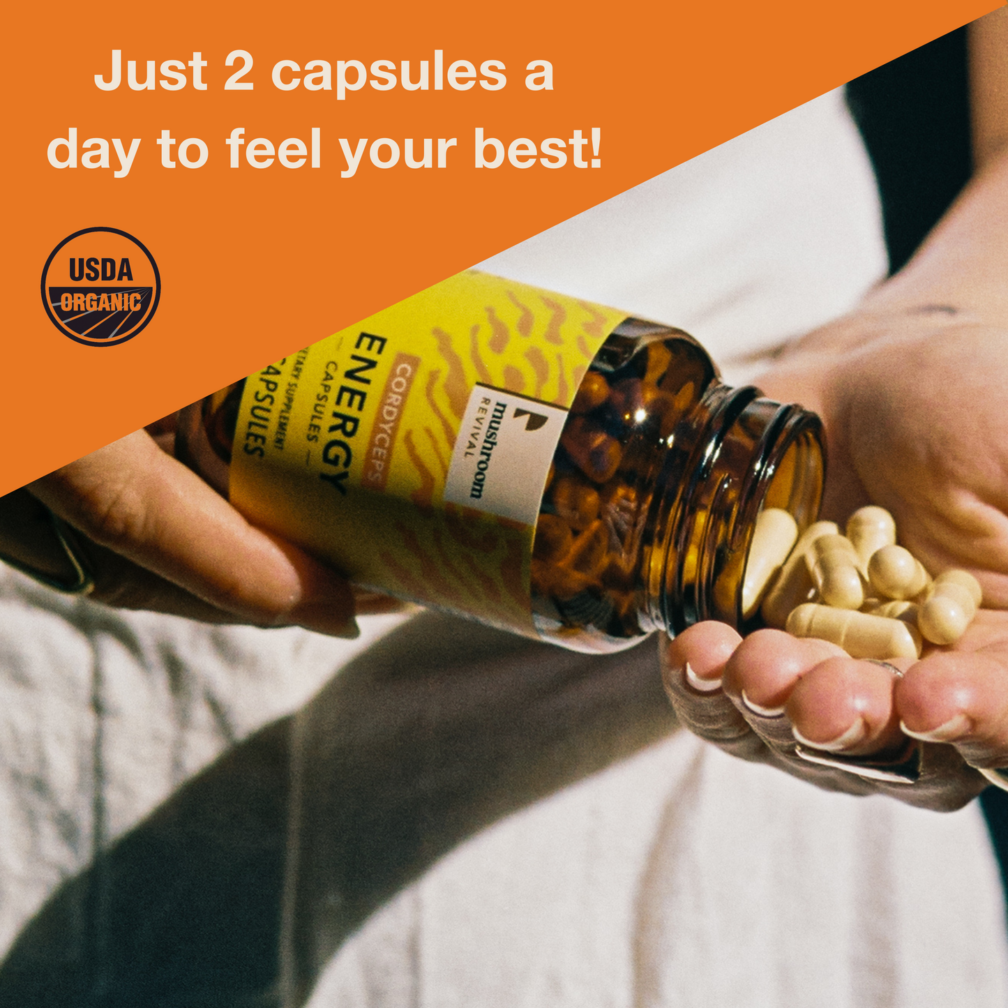 Energy Cordyceps Capsules