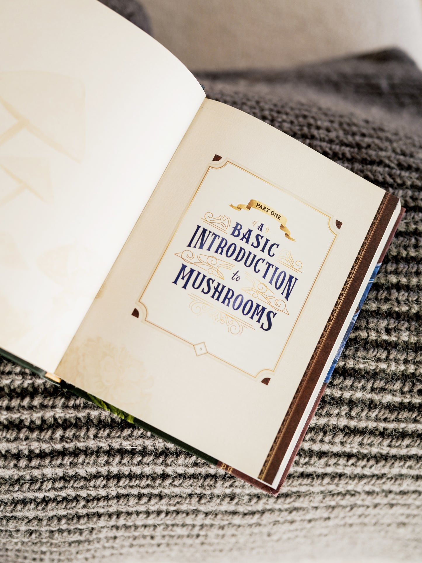 The Little Book of Mushrooms - Mushroom Revival - Basic Introduction to Mushrooms