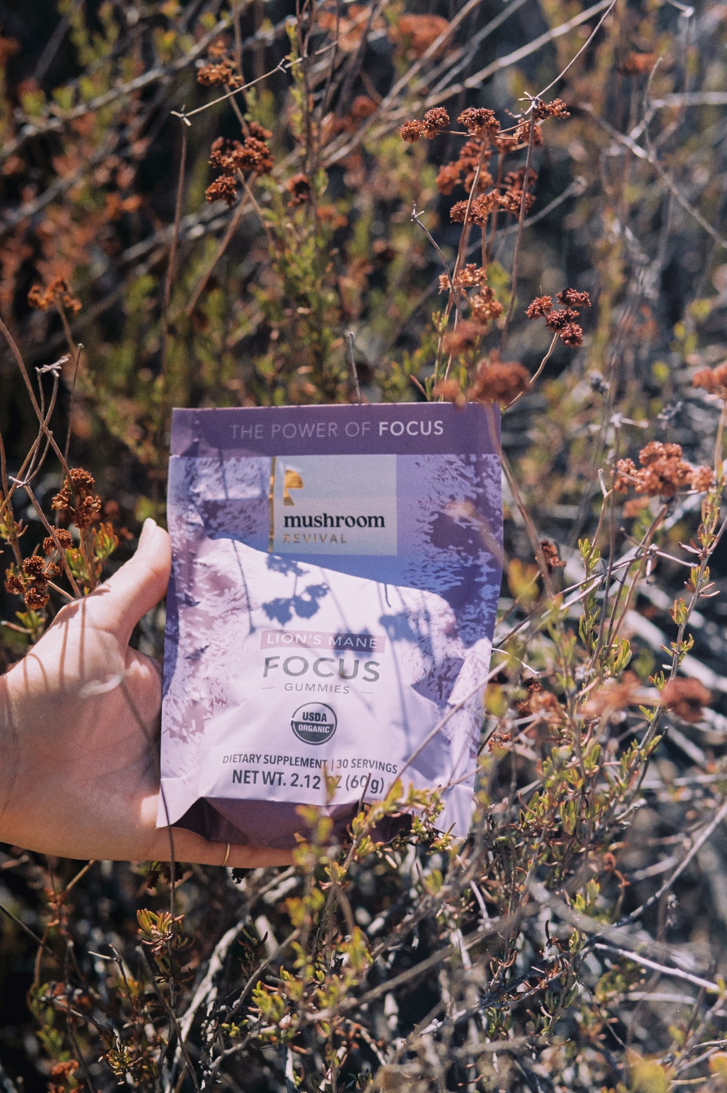 Focused & Healthy Gummies