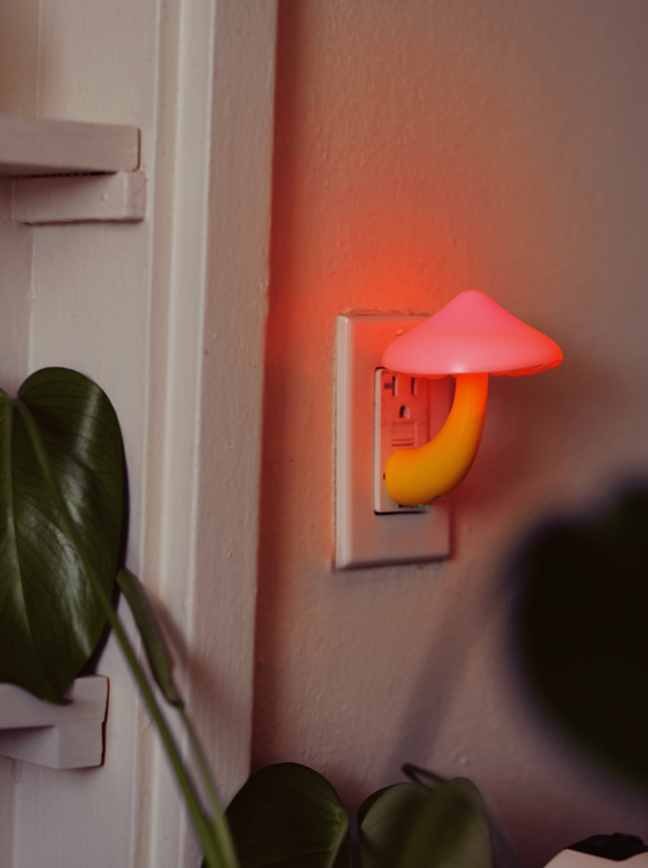 Mushroom Night Light - Mushroom Revival - Main