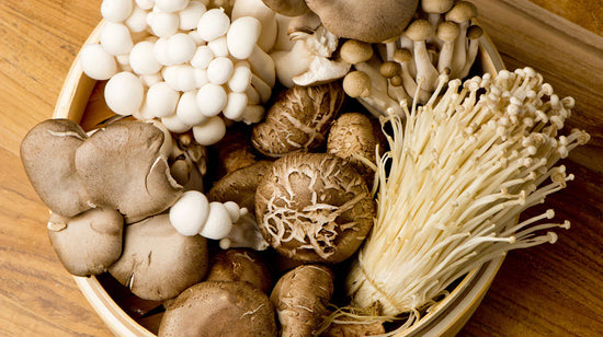 High Protein Mushrooms - Mushroom Revival