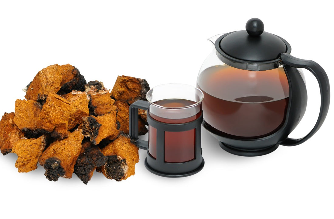 chaga and reishi benefits