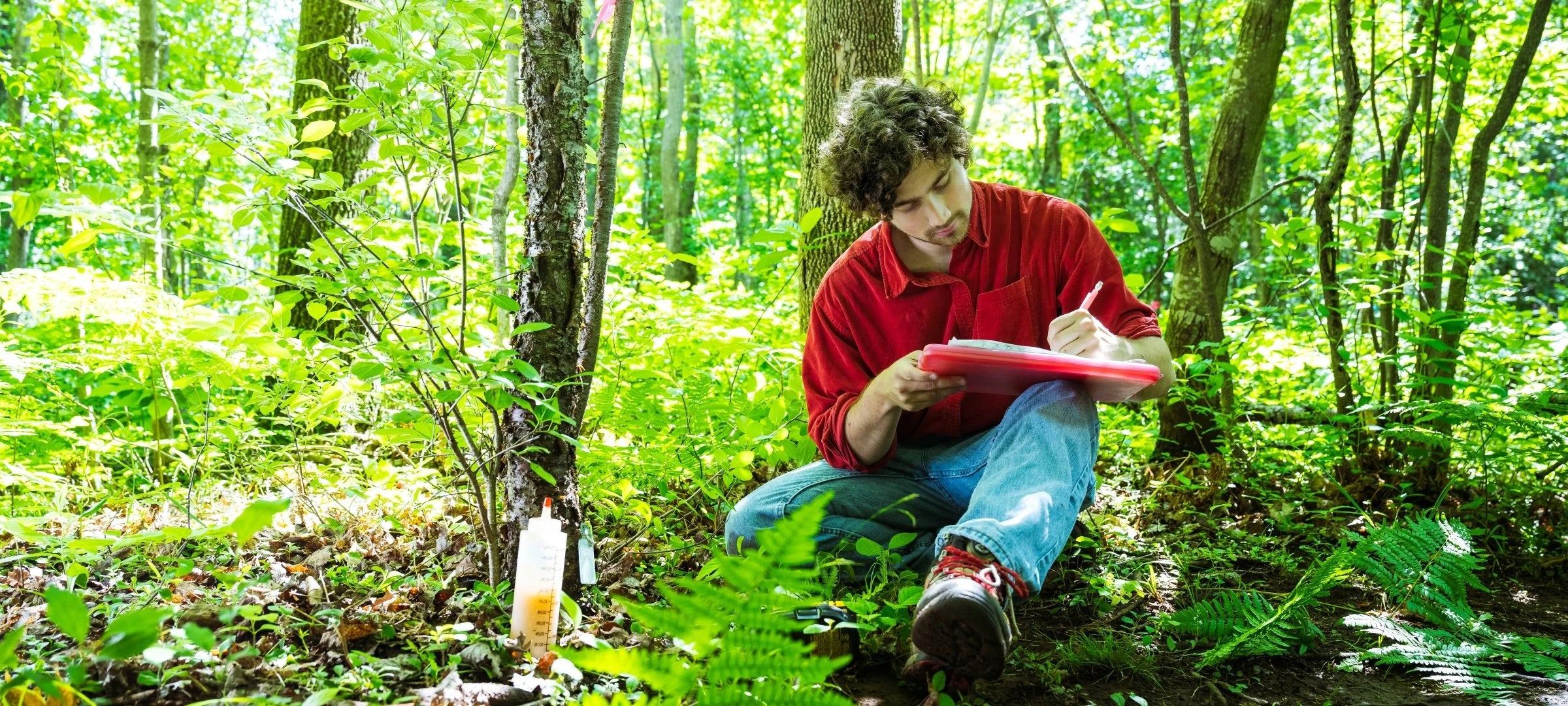 Using Native Fungi to Weaken Invasive Trees with Abe Stone