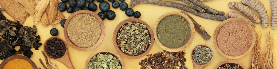 Adaptogens 101: Types of Adaptogens To Consider Adding to Your Life