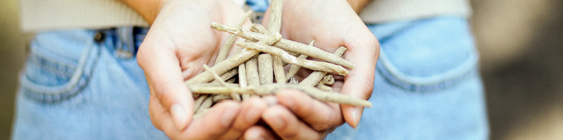 Don’t Sleep on Ashwagandha: Learn About All of the Adaptogenic Benefits*