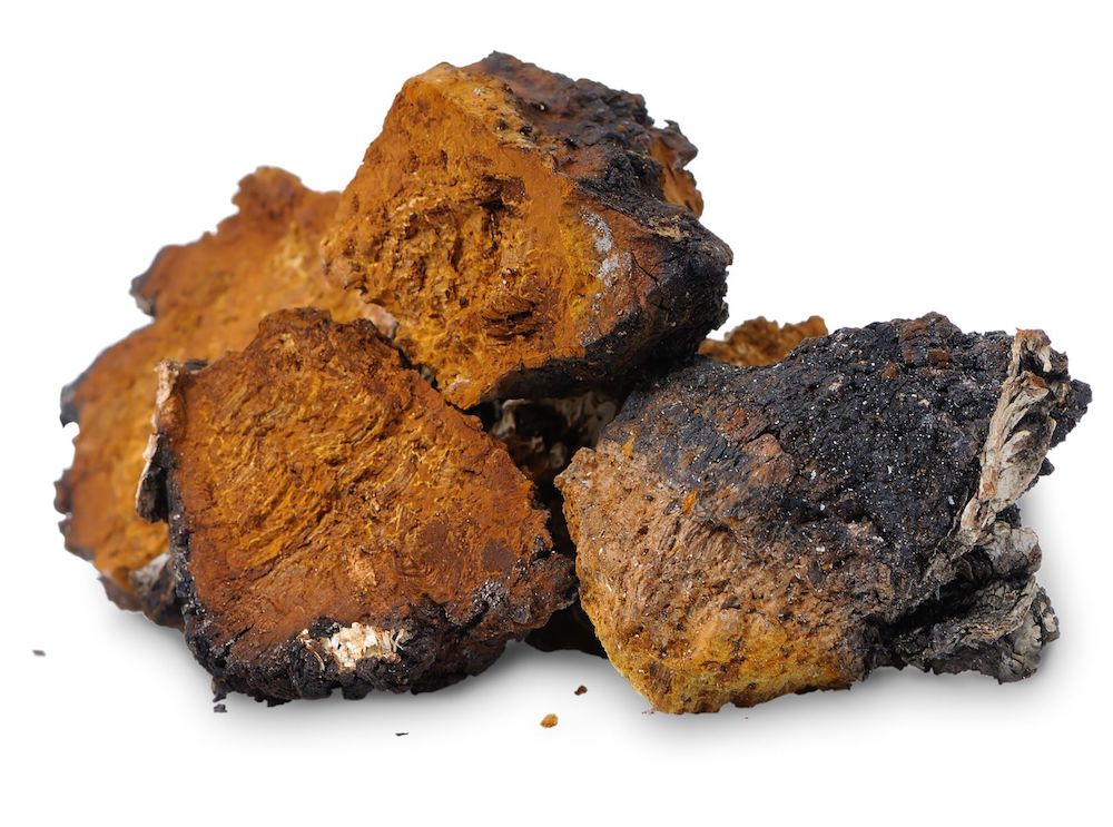 Difference-Between-Chaga-and-Reishi
