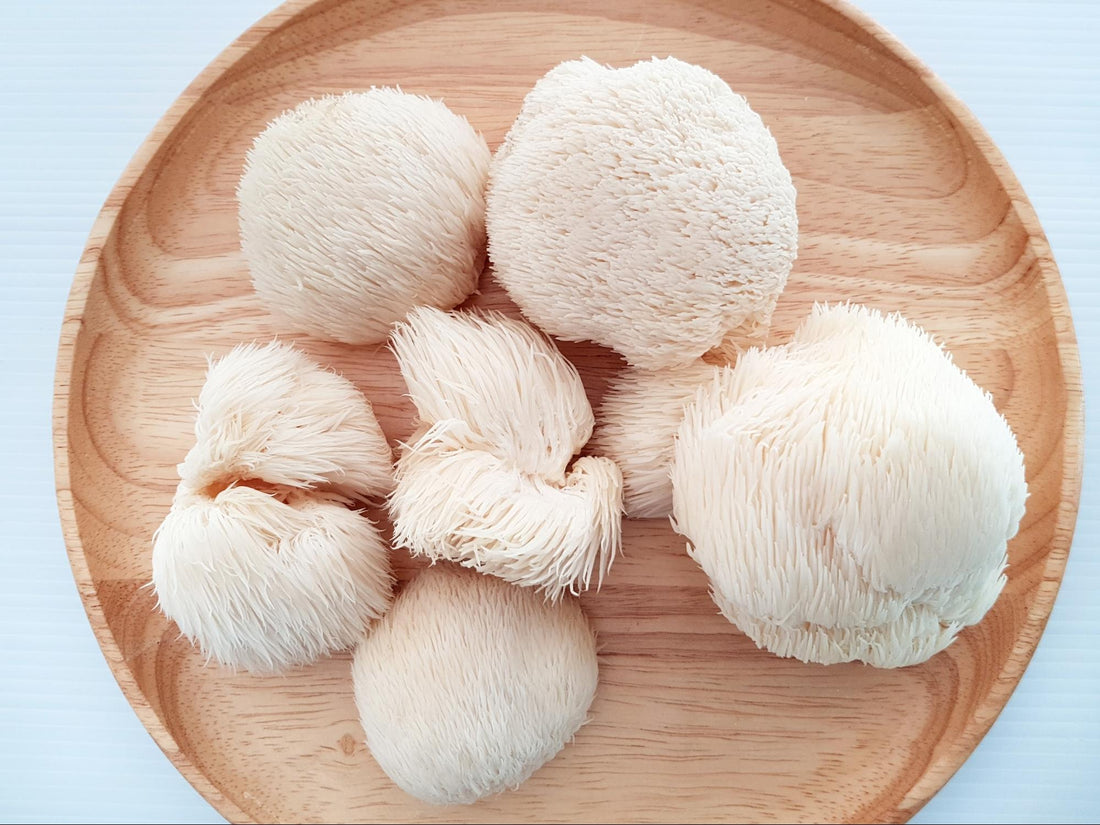 How to Cook Lion’s Mane Mushrooms as a Seafood Substitute