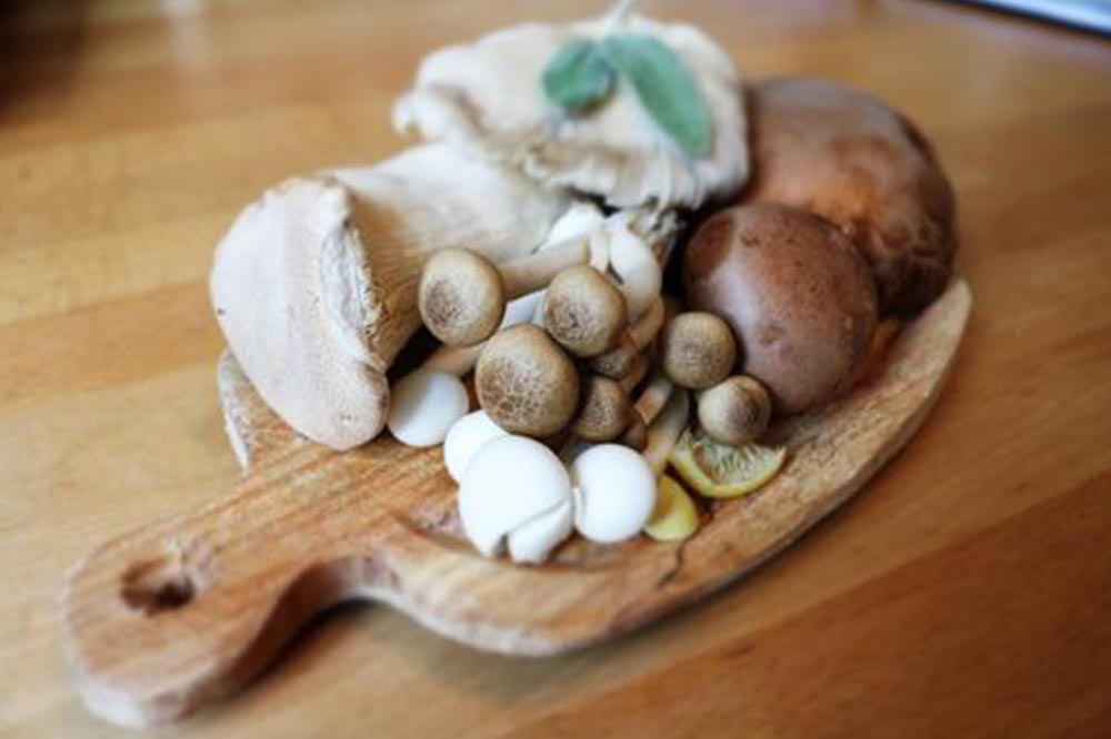 You Asked, We Answered: Do Mushrooms Support Your Immune System?*