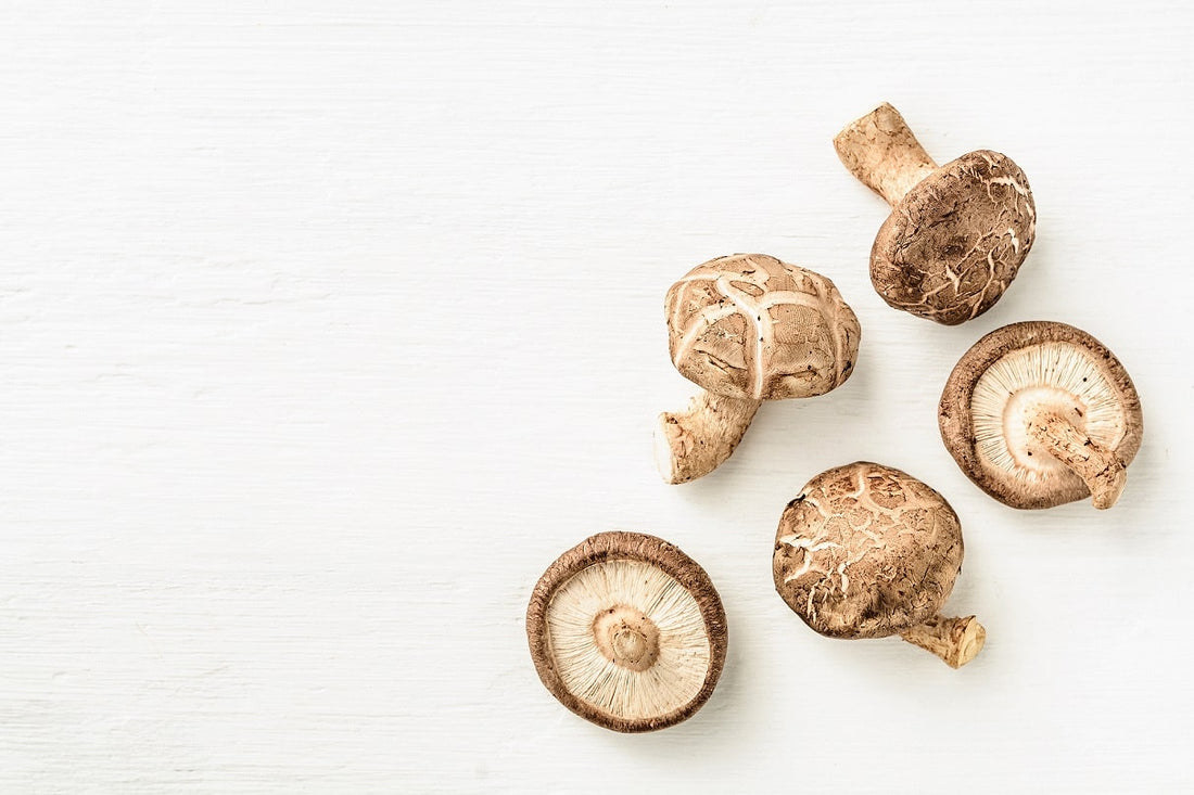 5 mushrooms in different positions - Mushroom Anatomy - Mushroom Revival