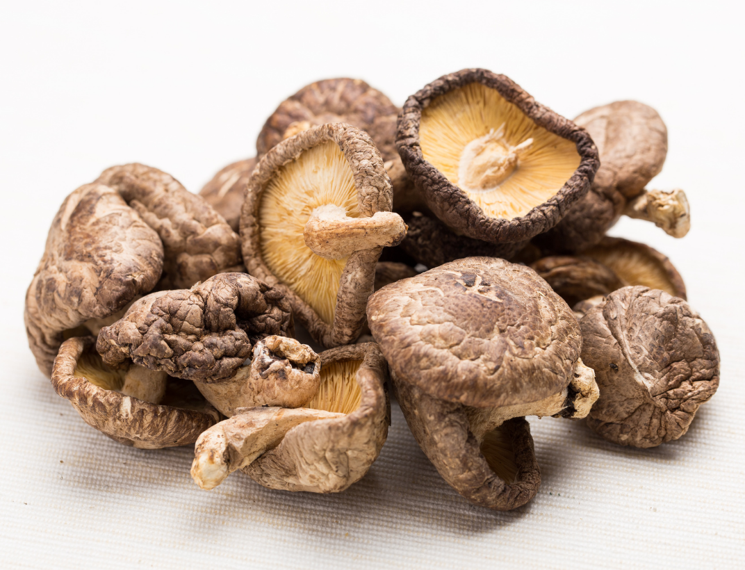 Mushroom Blend Powder - Mushroom Revival - Shiitake Mushroom