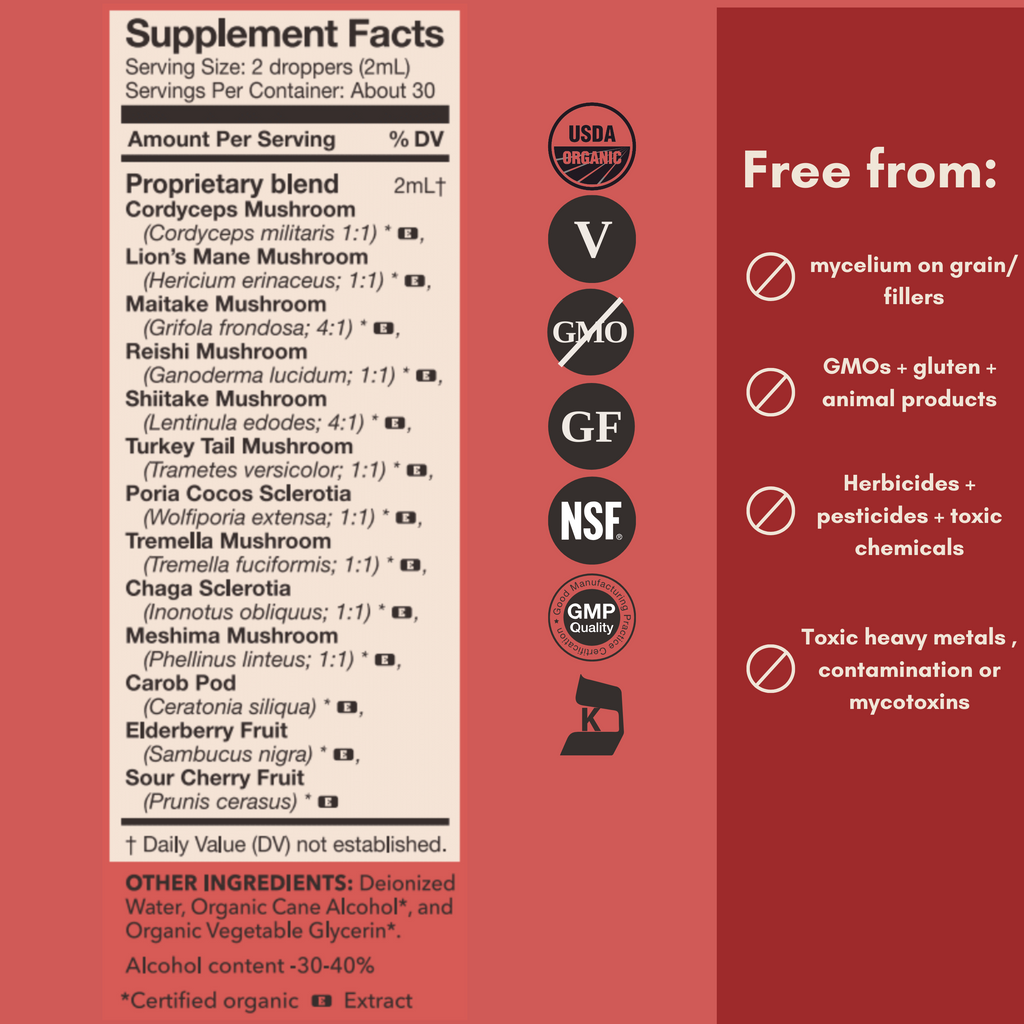 Daily 10 Mix Mushroom Tincture 
