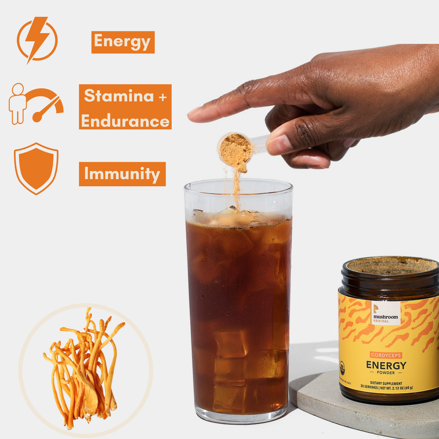 Energy Cordyceps Powder