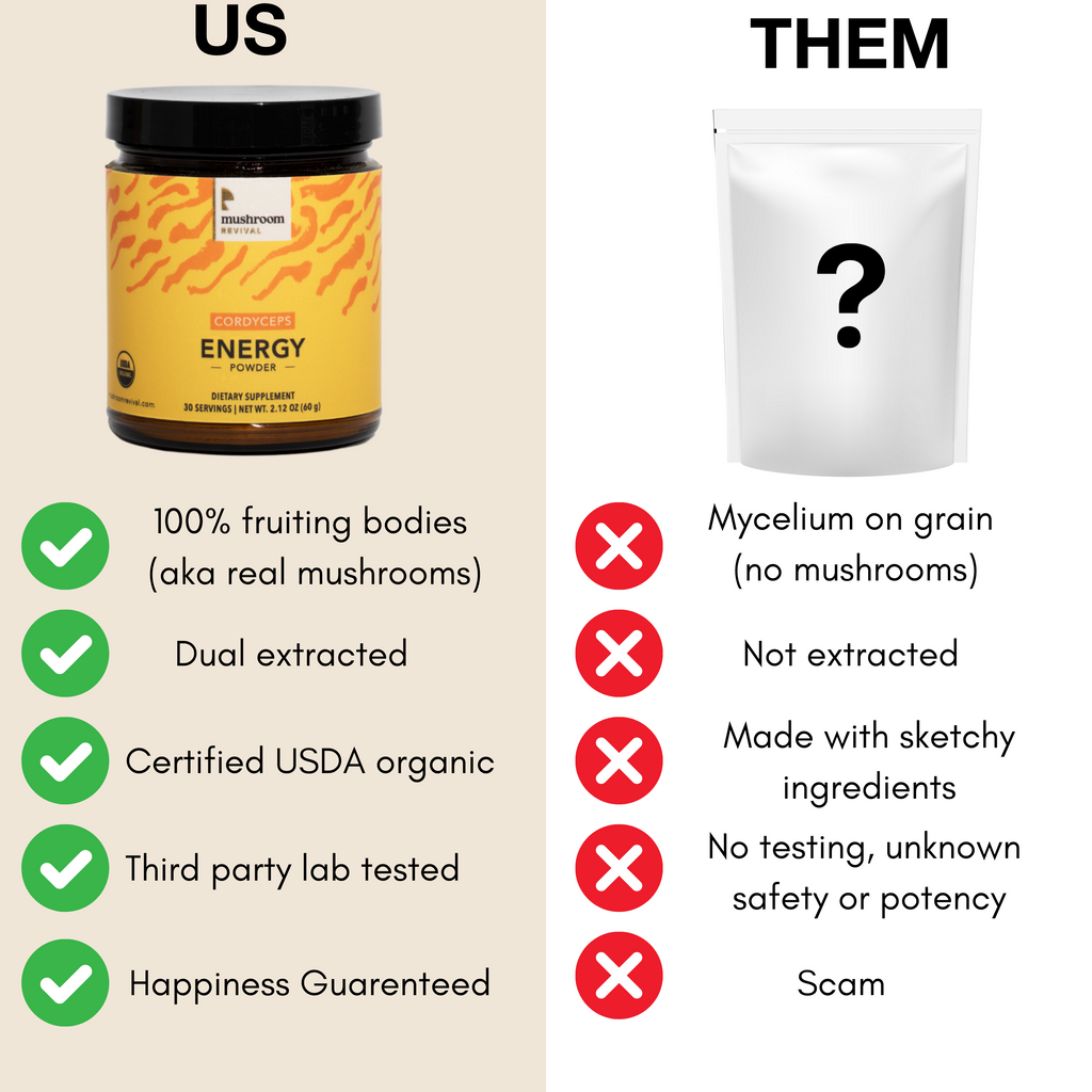 Energy Cordyceps Powder 
