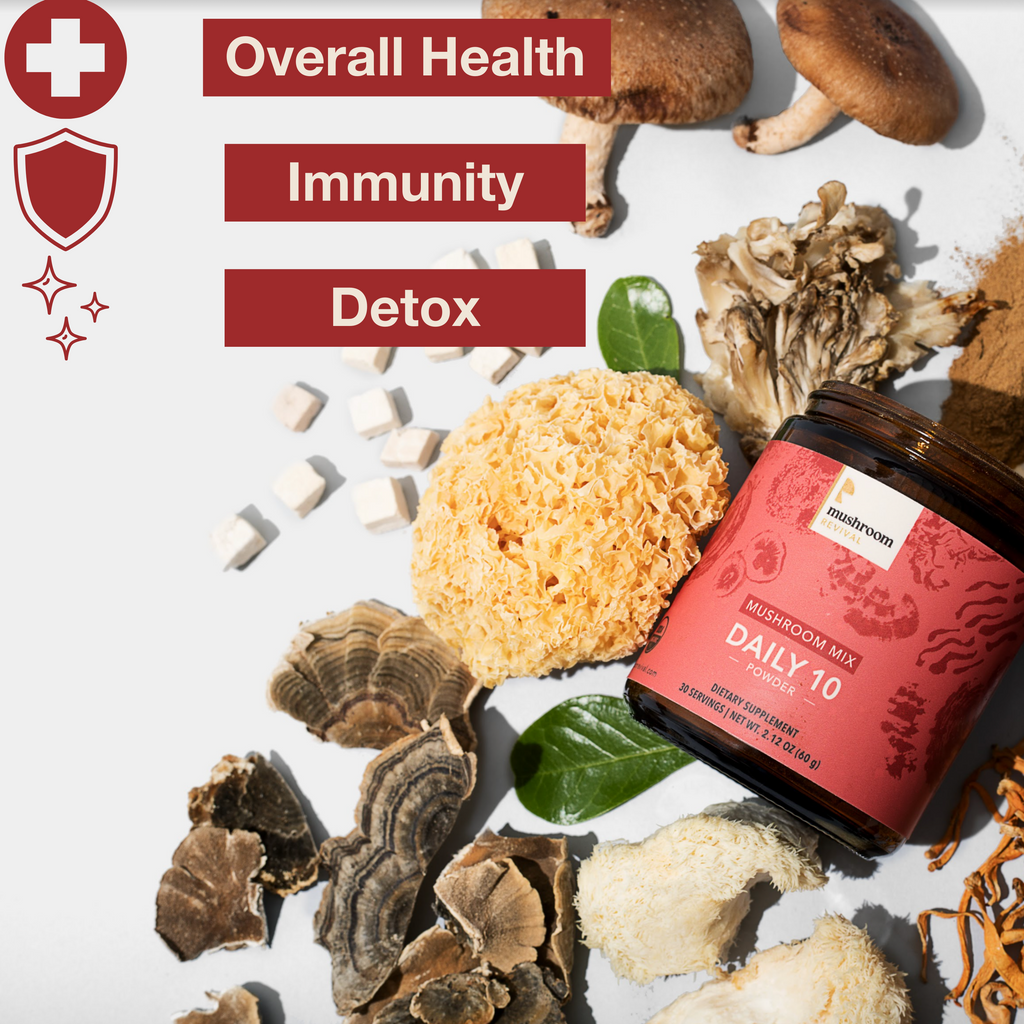 Daily 10 Mushroom Blend Powder 