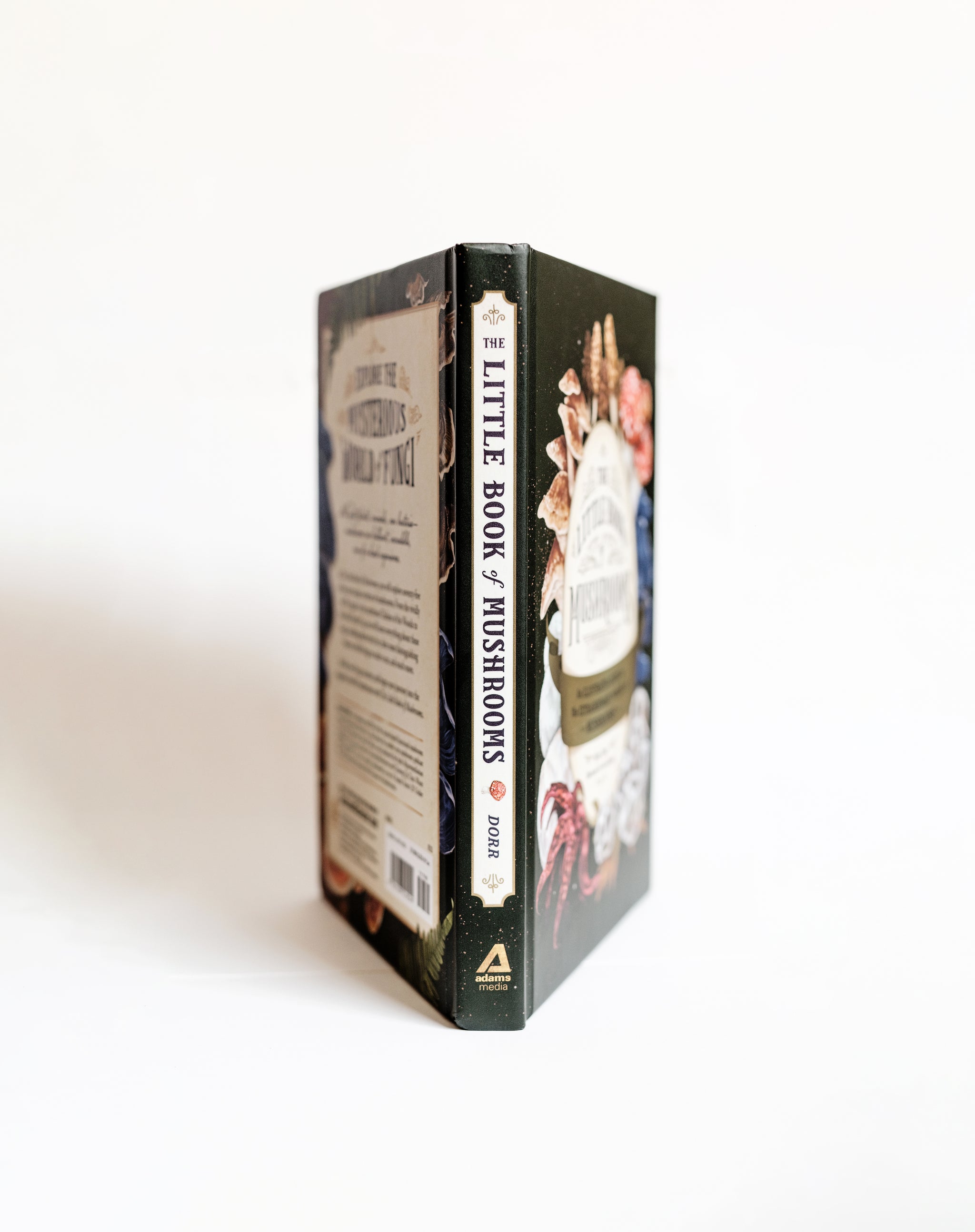 The Little Book of Mushrooms: Illustrated Extraordinary Guide