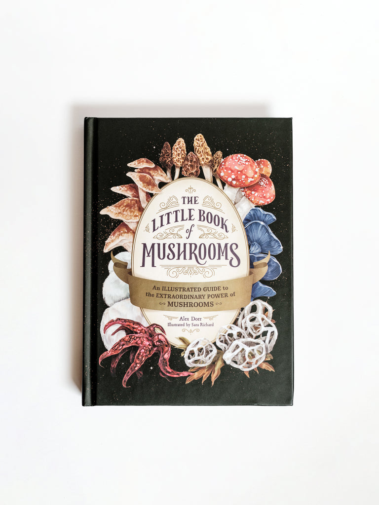 The Little Book of Mushrooms -  Mushroom Revival - Front Cover 