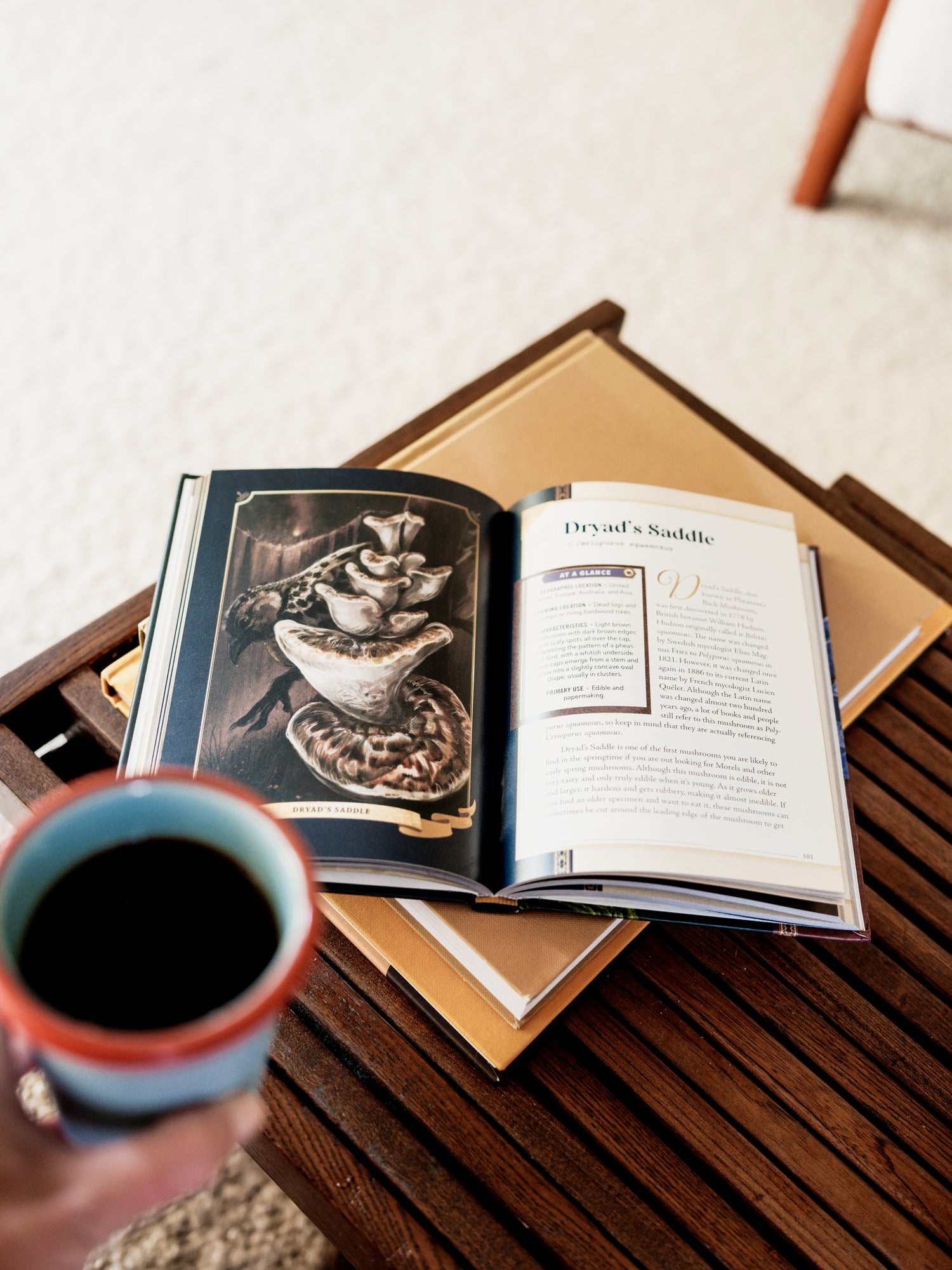 The Little Book of Mushrooms -  Mushroom Revival - Inside of the book