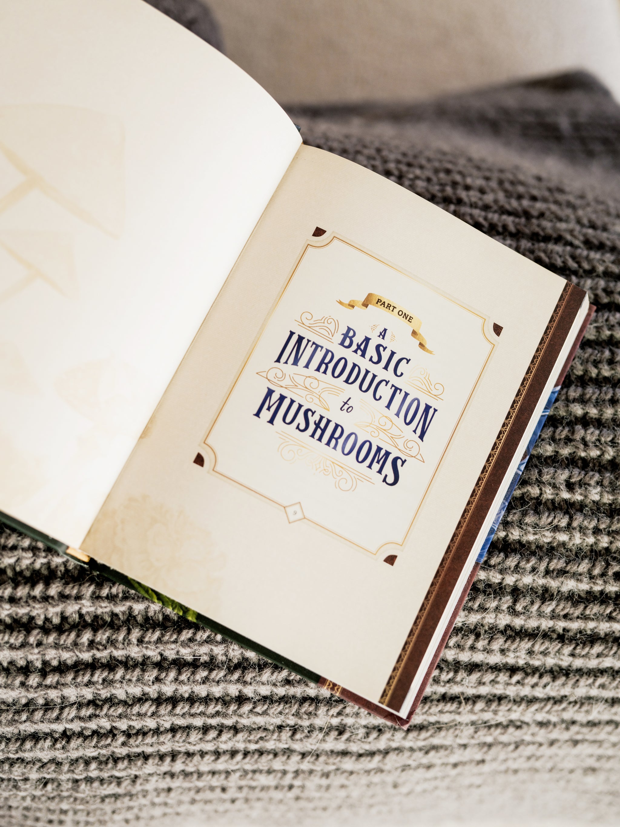 The Little Book of Mushrooms: Illustrated Extraordinary Guide