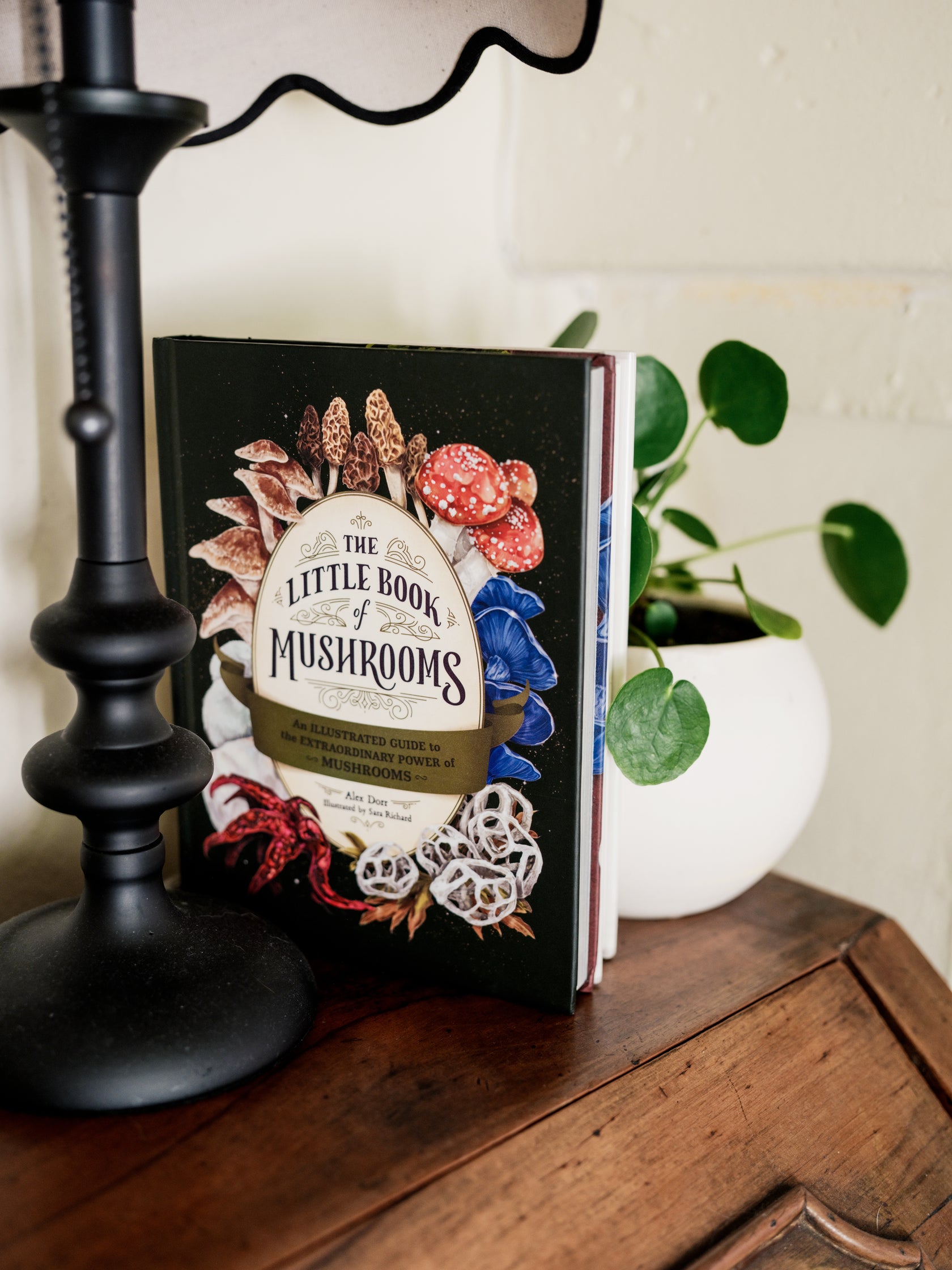 The Little Book of Mushrooms: Illustrated Extraordinary Guide