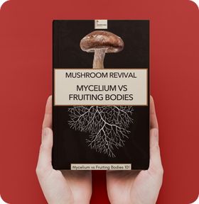Mycelium VS Fruiting Bodies E-book