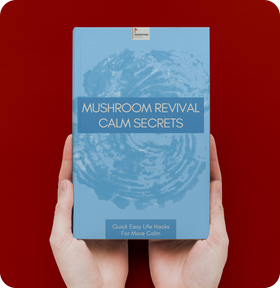 Calm Secrets E-book