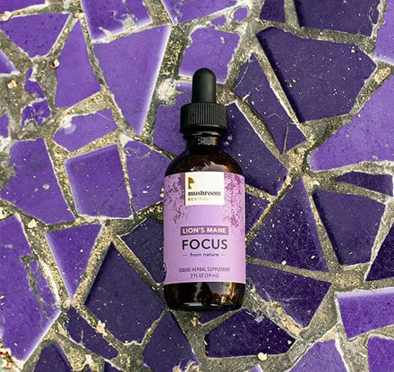 Lion's Mane Focus Tincture