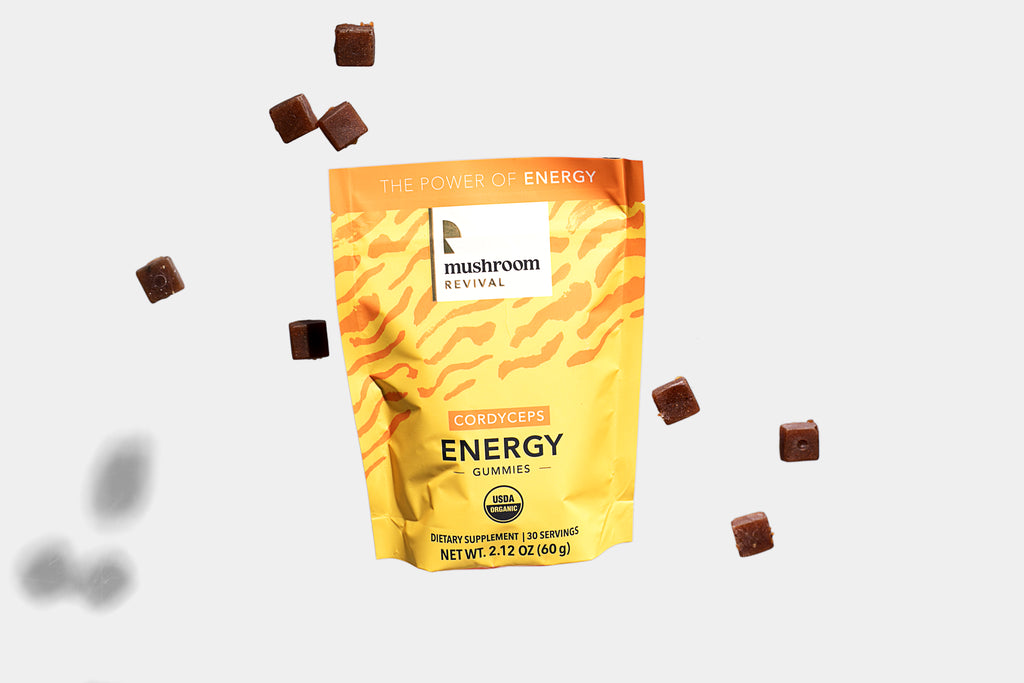 Mushroom Gummies Starter Kit 