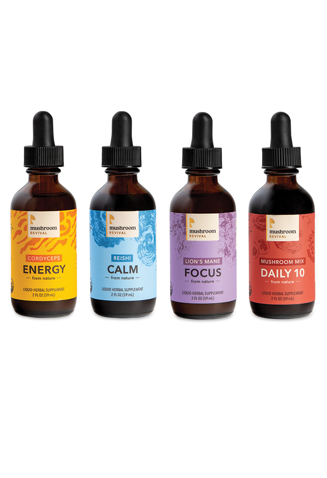 Revive Your Health Mushroom Tinctures - 4 tincture bottles - Mushroom Revival 