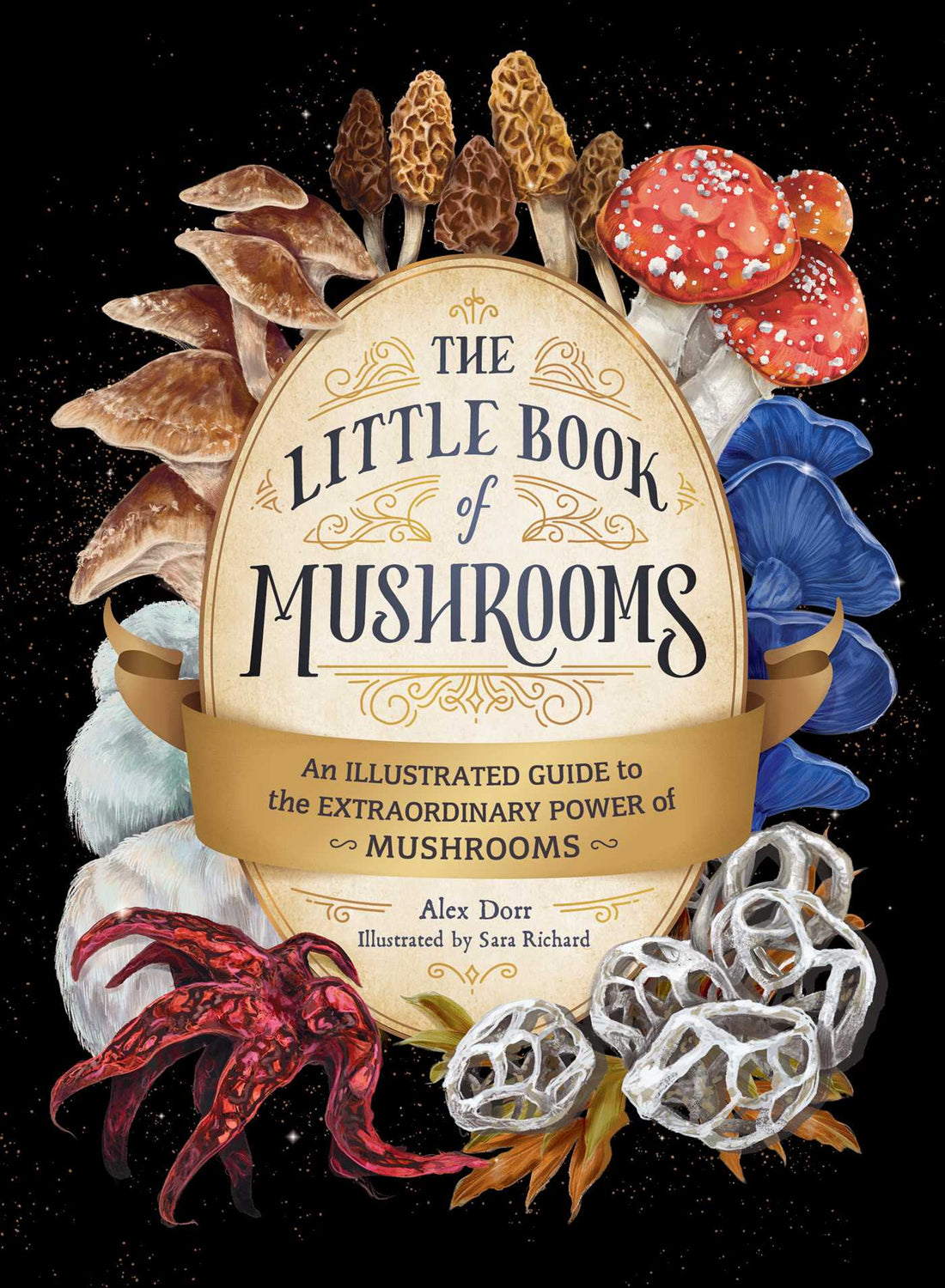 The Little Book of Mushrooms: Illustrated Extraordinary Guide